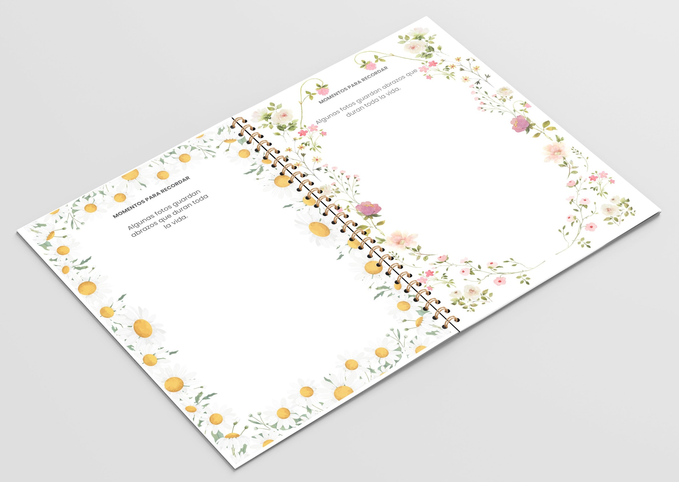 "Querida Abuela – Cuéntame Tu Historia"